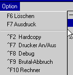 Option (3 KB)