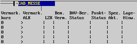 Tabelle Punktinformation, weitere Informationen  (3 KB)