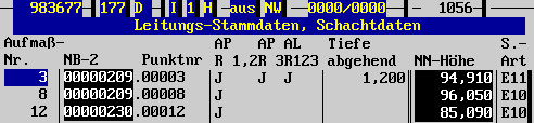 Eingabemaske, linker Teil  (6 KB)
